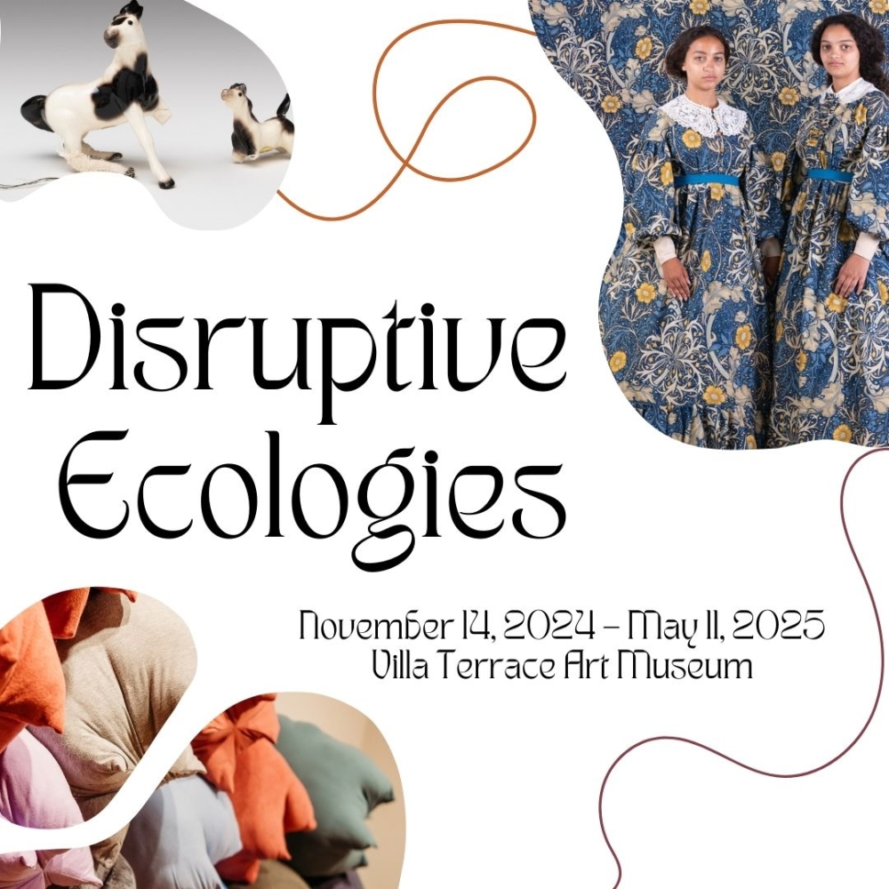 Disruptive Ecologies preview image